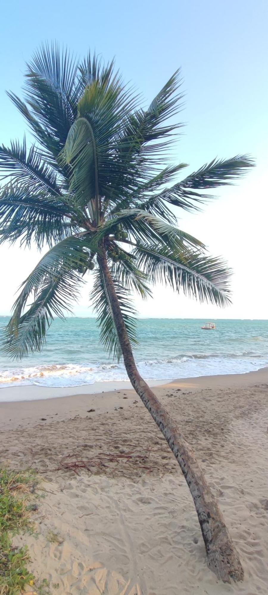 Sunshine Patacho Rota Ecologica Dos Milagres Estalagem Pôrto de Pedras